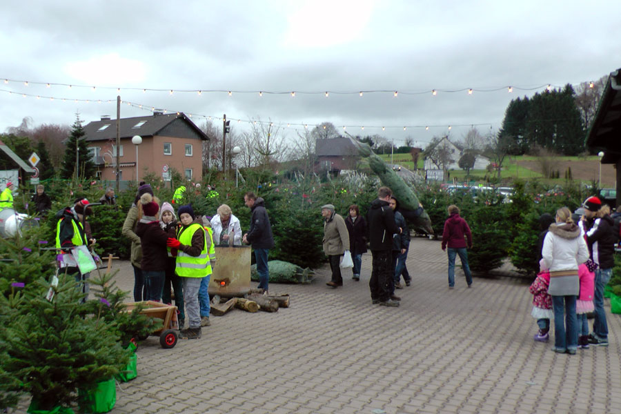 Weihnachtsbaumkauf auf unserem Hof in Kreutzhäuschen